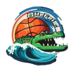 合肥文旅女篮logo